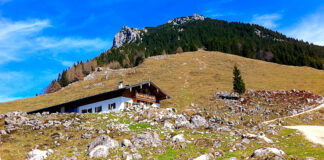 Naunspitze und Petersköpfl mit Rietzaualm im Vordergrund © Gipfelfieber.com