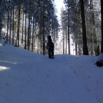 Gemäßigter Aufstieg durch den Wald © Gipfelfieber.com