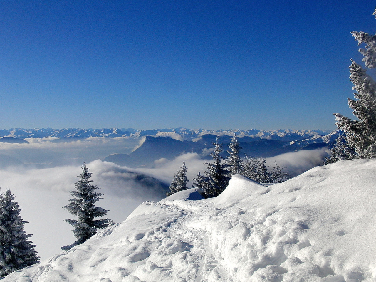 Wunderbare Aussicht auf die Alpen © Gipfelfieber.com