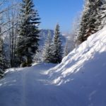 Aufstieg über Forststraße © Gipfelfieber.com