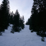 Steile Waldschneise © Gipfelfieber.com