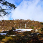 Eine Gruppe Gämse © Gipfelfieber.com