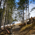 Steig zur Falkenmoosalm © Gipfelfieber.com