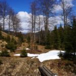 Zurück im Tal © Gipfelfieber.com