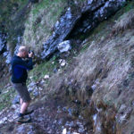 Das Hirschkalb liegt Modell © Gipfelfieber.com