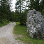 Fahrweg zur Elsterbergalm © Gipfelfieber.com
