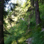 Der Steig windet sich steil durch den Hang © Gipfelfieber.com