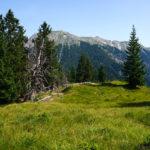 Am Gipfel des Schönjöchl © Gipfelfieber.com