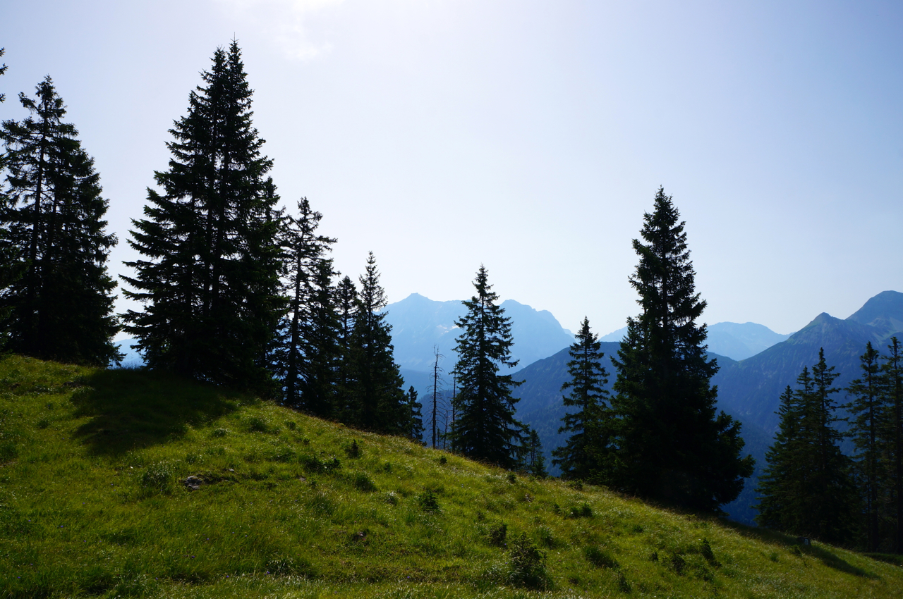 Blick in Richtung der Zugspitze © Gipfelfieber.com