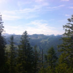 Langsam verlassen wir den Wald © Gipfelfieber.com