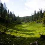 Der Wachterlsteig windet sich empor © Gipfelfieber.com