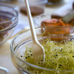 Blick in die Schüsseln © Gipfelfieber.com