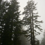 Düstere Atmosphäre am Morgen © Gipfelfieber.com