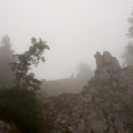 Mein erster Steinboch überhaupt © Gipfelfieber.com