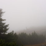 Knapp unterhalb des Gipfels. Rechts die kleine Schutzhütte © Gipfelfieber.com