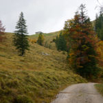 Blick auf die Tanner-Alm © Gipfelfieber.com