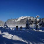 Die Röthelmoosalm mit Gründberg und Lochköpfel im Hintergrund © Gipfelfieber.com