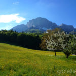 Mai © Gipfelfieber.com