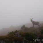 November © Gipfelfieber.com