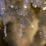 Zerbrechliche Eiskristalle © Gipfelfieber.com