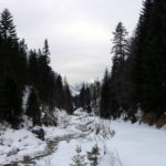 Langsam ansteigender Forstweg © Gipfelfieber.com