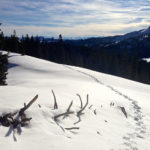 Spuren im Schnee © Gipfelfieber.com