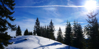 Über die Gufferthütte auf die Halserspitz