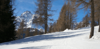 Schneereport Dolomiten
