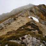 Die letzten Meter © Gipfelfieber.com