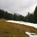 Zwerchenbergalm © Gipfelfieber.com