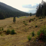 Luitpoldalm © Gipfelfieber.com