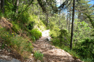 Der Zustiegsweg nach der Bastion © Gipfelfieber.com