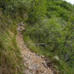 Der Abstiegsweg 418 © Gipfelfieber.com