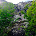 Dichtes Treiben © Gipfelfieber.com