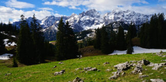 Durch den Matsch auf den Vorderskopf - Bergtour