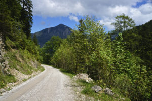 Die Forststraße © Gipfelfieber.com