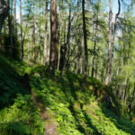 Der namenlose Steig © Gipfelfieber.com