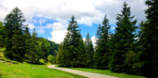 Bike & Hike auf die Hohe Kiste