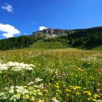 Die riesige Lawinenschneise von 1951 in Lü © Gipfelfieber.com