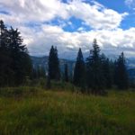 Auf der verfallenen Hochkienbergalm © Gipfelfieber.com