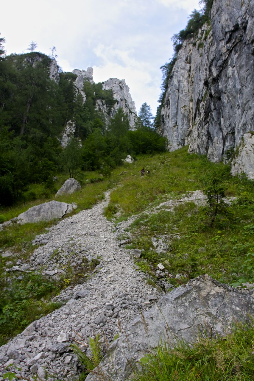 Steiler Abstieg zur Röthelmoosalm © Gipfelfieber.com