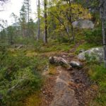 Der Steig am Langfoss © Gipfelfieber.com