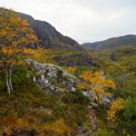 Bob Ross könnte es nicht besser © Gipfelfieber.com