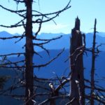 Ausblick am Geierstein © auf-den-berg.de