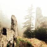 Über den Jägersteig © kulturnatur.de/NOA