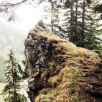 Ein gut getarntes Nashorn? © kulturnatur.de/NOA