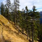 Herbstfarben © Gipfelfieber.com