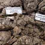 Rechts geht`s weiter zur Kreuzspitze, links zum Kuchelberg © Gipfelfieber.com