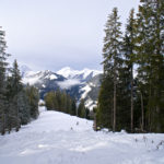 Der Aufstieg erfolgt durch eine breite Waldschneise © Gipfelfieber.com