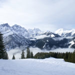 Eine große Lichtung wartet © Gipfelfieber.com